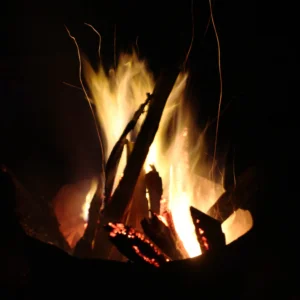 Knuckles Camping Tour – 1 Night