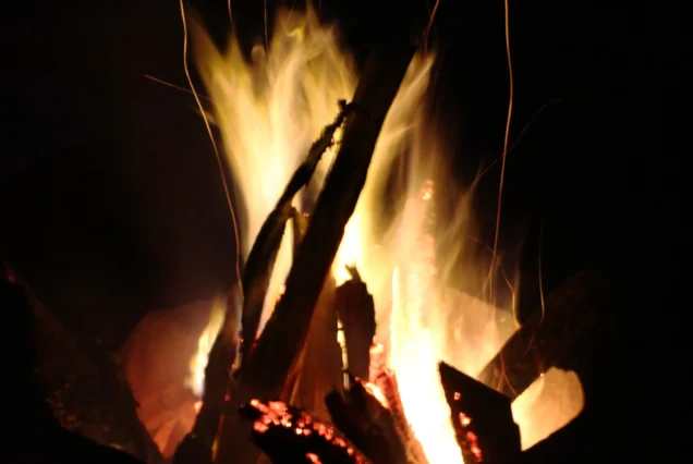 Knuckles Camping Tour – 1 Night