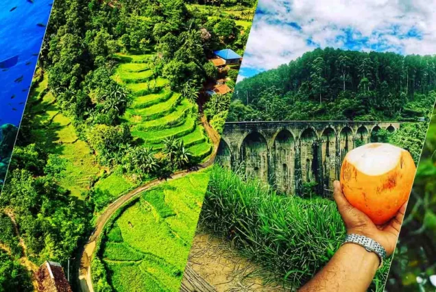 Sri Lanka Highlights