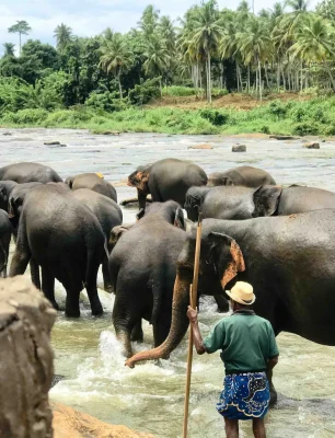 Pinnawala-sri-lanka-scaled