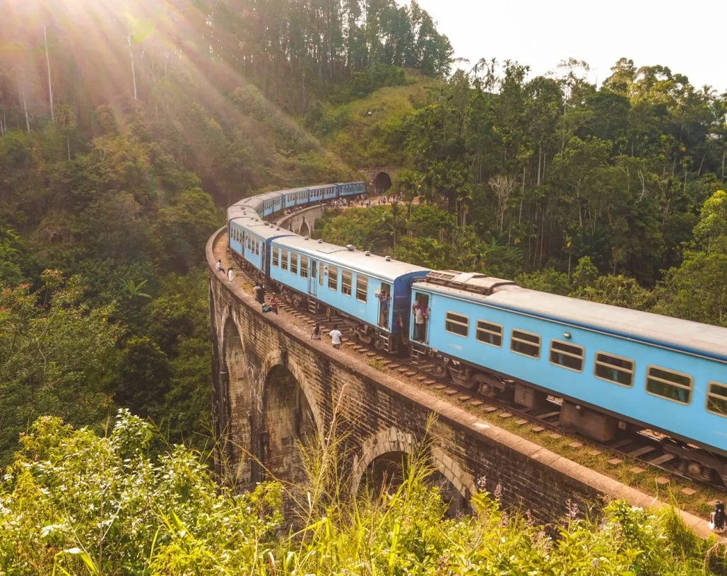 blue and white train on rail tracks